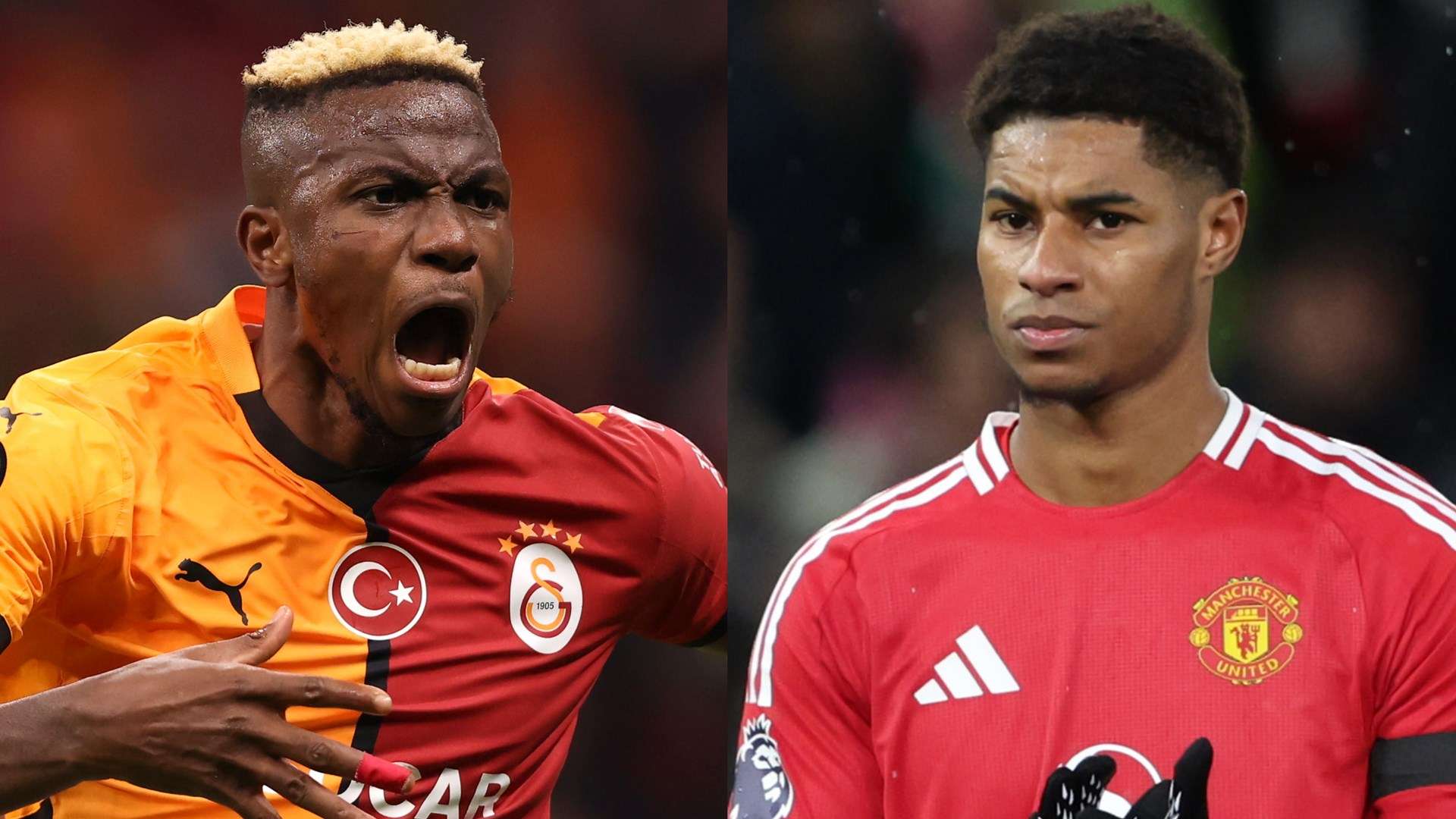 定期组织青 定期组织青